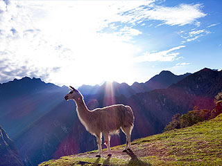 paquete turistico a machu picchu paquete turistico a machu picchu