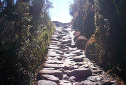 caminata-camino-inca