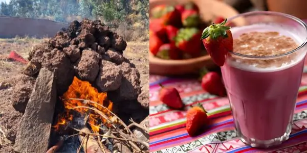 platillos y bebidas que puedes encontrar en la fiesta del inti raymi