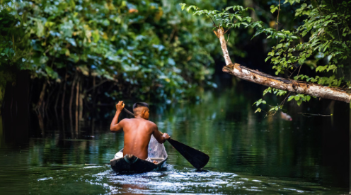 Parque nacional de manu 3 días y 2 noches Parque nacional de manu 3 días y 2 noches