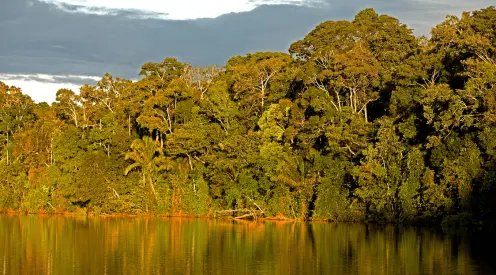 Parque nacional de manu 7 días y 6 noches Parque nacional de manu 7 días y 6 noches
