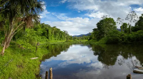 Parque nacional de manu 8 días y 7 noches Parque nacional de manu 8 días y 7 noches