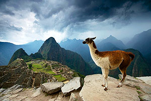 tour machupicchu peruanos