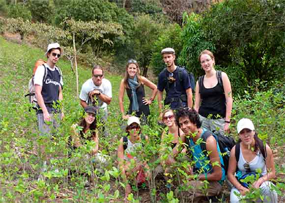 Inka Jungle Trail