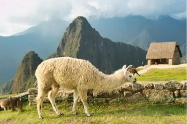 vista de la ciudadela inca en el Tour a Machu Picchu; circuito 2 a 4 días