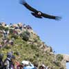Mirador del Condor - Cañon del Colca