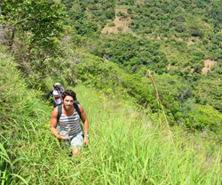 camino-inca-selva-machupicchu