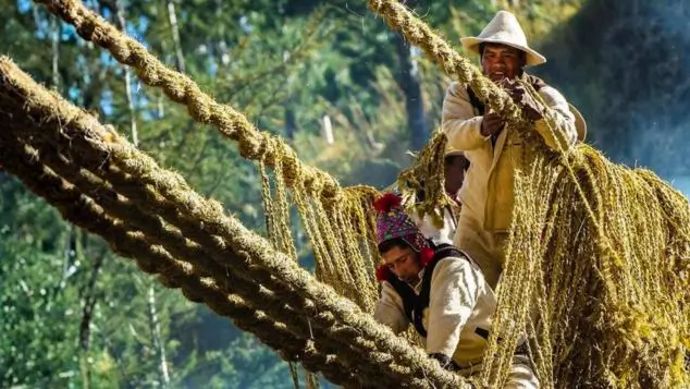 reconstrucción del puente inca q'eswachaka