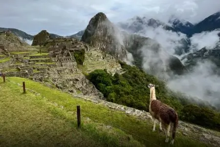 Camino Inca 2 días desde Km 104, Wiñaywayna y Puerta del Sol a Machu Picchu