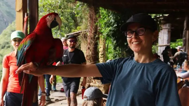 Visitantes interactuando con la fauna local en camino a machu picchu