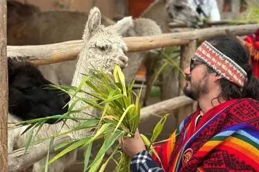 visitantes al valle sagrado de los incas tour vip