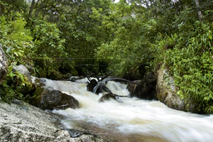 camino a machupicchu