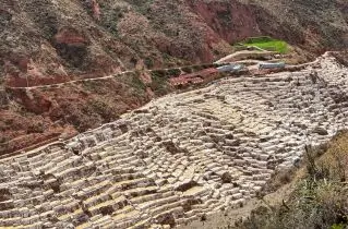 Maras - Moray Half Day 2026
